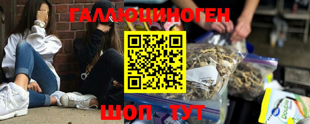 Галлюциногенные грибы GOLDEN TEACHER Магадан