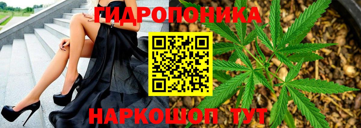 Бошки марихуана VHQ  Вход с VPN  Магадан  Бошки Шишки White Widow  Каннабис LSD WEED 